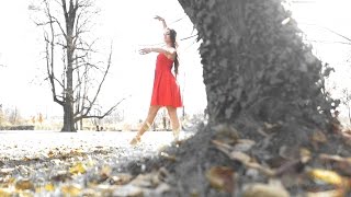 Dave Brannigan - Moon Acacia (Official Video)