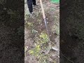 ⚙️🌿 Twin-Edge Hoe for Faster Row Weeding