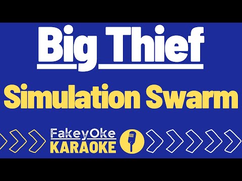 Big Thief - Simulation Swarm [Karaoke]