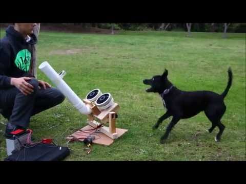dog-ball-launcher-for-people-with-physical-limitations