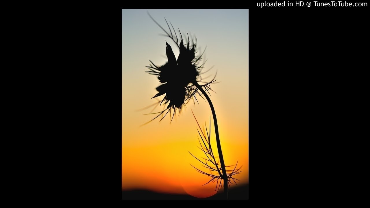 [FREE] 6LACK x Phora Type Beat 2021 - Fade away | Trap Soul Type Beat