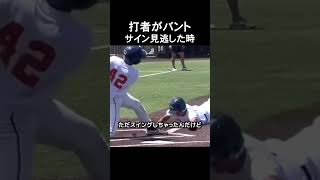 打者がバントサイン見逃した時 #野球