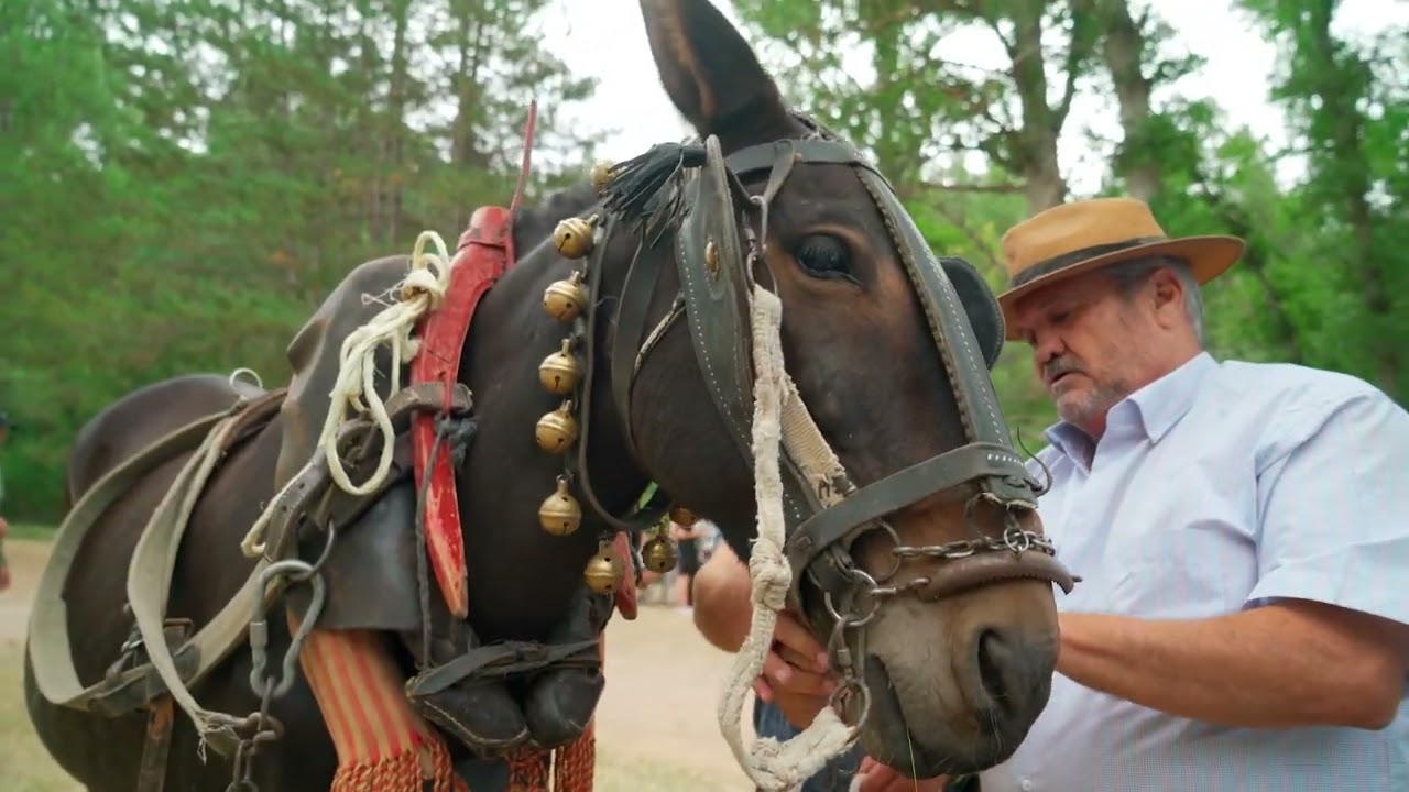 Fiesta Ganchera 2023 (Zaorejas - Parque Natural del Alto Tajo)