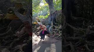 Made Arya Dedok Dancing under the tree Goa Gajah Bedulu Gianyar Bali 2026 #dedokbaliartstudio #art