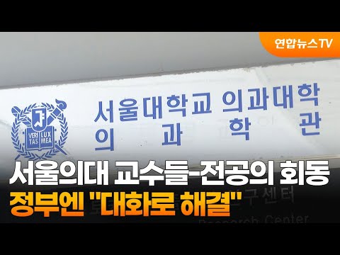 서울의대 교수들-전공의 회동…정부엔 &quot;대화로 해결&quot; / 연합뉴스TV (YonhapnewsTV)