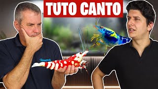 Nos meilleures astuces pour tes crevettes 😊 Spécial Cantonensis  🦐 - Floraquatic