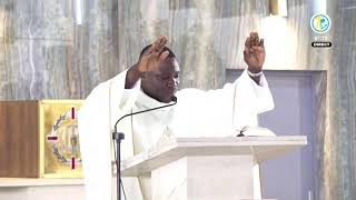 Mass of August 22, 2026, live from Sainte Monique Parish in Plateau - Dokui