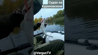 Поклевка судака на Куриловском котловане #рыбалка #река_днепр #verguntv #vlog #судак #джиг #хищник