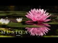 Healing Ragas ⋄ Manish Vyas ⋄ Bikramjit Singh ⋄ Deep relaxation and serenity