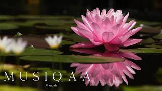 Healing Ragas Manish Vyas Bikramjit Singh Deep relaxation and serenity