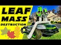 Ego leaf bazooka  fall leaf cleaning beast