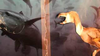 Chase (cut out) animation (test)