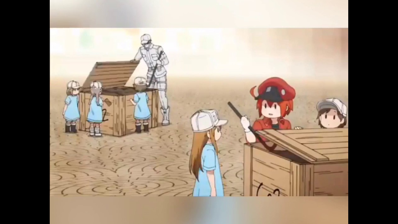 [はたらく細胞]血小板ちゃん登場シーン集