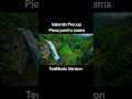 Valentin Precup - Piesa pentru Mama (Ted Music Version)