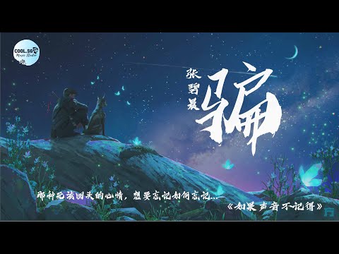 张碧晨 - 骗『《如果声音不记得》电影插曲』【那种无法回头的心情, 想要忘记如何忘记...】動態歌詞 Lyrics