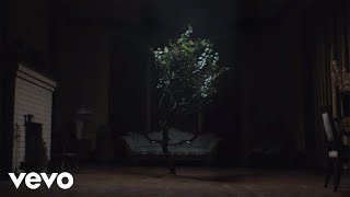 Colin Smith, L'FREAQ - The Tree (Official Music Video)
