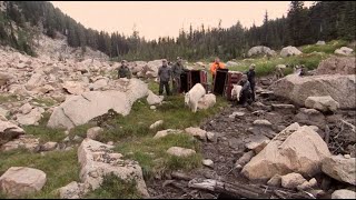 Western Washington University Students Return Goats to the Cascades