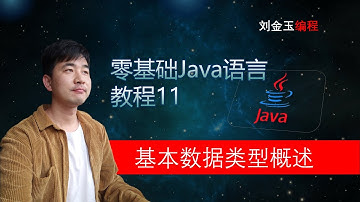 零基础Java教程11期 基本数据类型概述 程序员入门经典