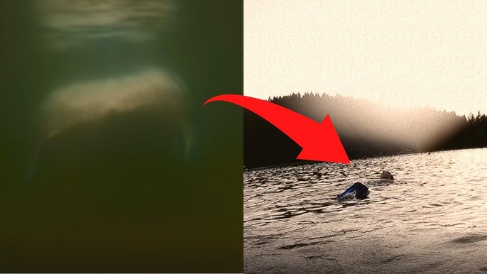 SCARIEST MERMAID ENCOUNTER Caught On Camera!