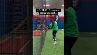 Drill #9: Extension along the net