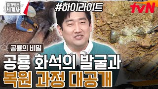 4가지만 기억하자! 박진영 박사님이 알려주는 '공룡 화석의 발굴 과정🦕' #highlight #벌거벗은세계사 EP.151