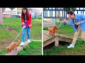 IL NOSTRO CUCCIOLO IMPARA LA CORSA AD OSTACOLI!!