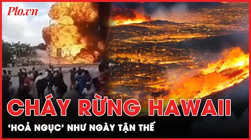 Mỹ điều tra cháy rừng ở Hawaii, thảm hoạ được ví như ngày tận thế sẽ hé lộ điều gì phía sau? | PLO