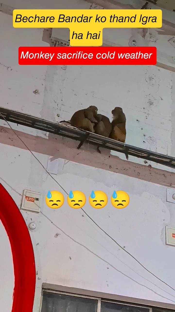 👩‍🎨WhatsApp प्रोफाइल DP - ShareChat