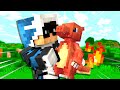 IL MIO CHARMANDER SI È EVOLUTO - POKEMON SU MINECRAFT Ep.2