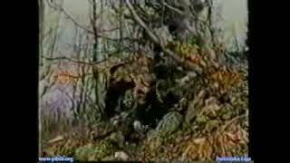 Sedma Muslimanska Brigada Original Clip