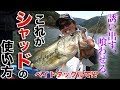 【バス釣り】これがシャッドの使い方！【シャッディング】【SPATT】