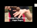 Palm wood rollers for body massage Palm wood rollers for body massage