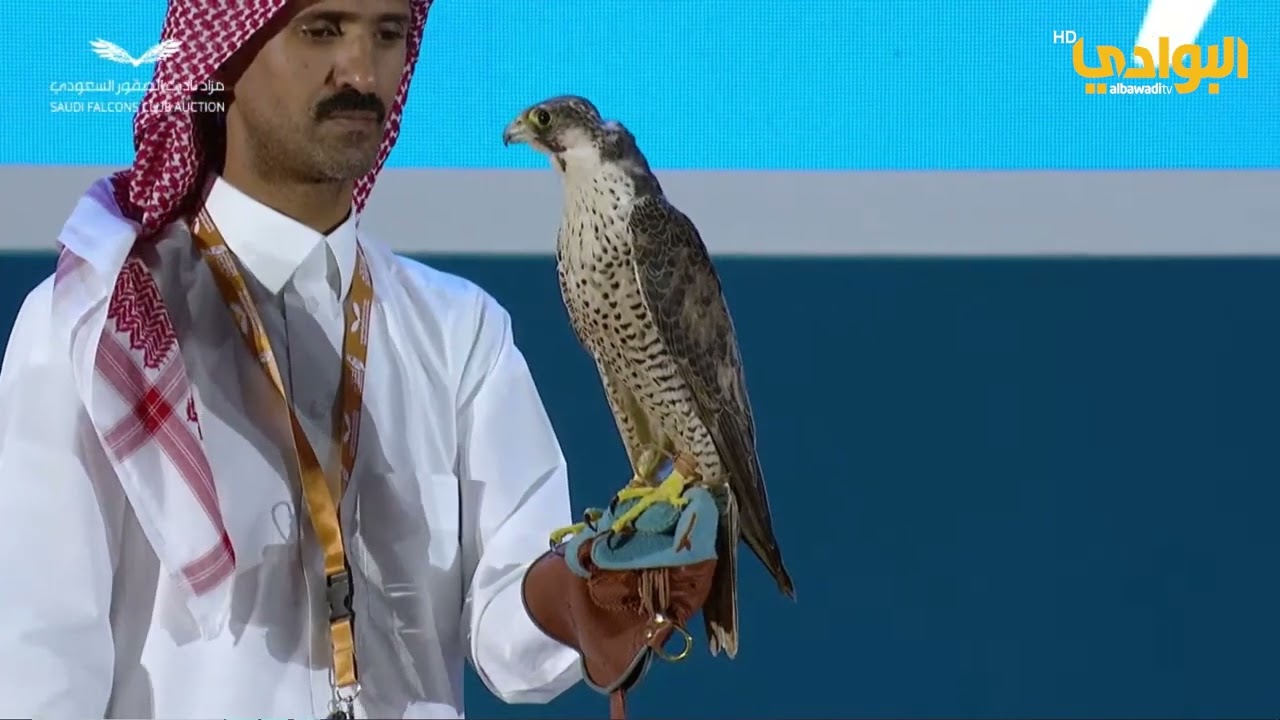مزاد طرح محلي بنادي الصقور السعودي | لعدد 2 طير شاهين | بتاريخ 19-10-2023