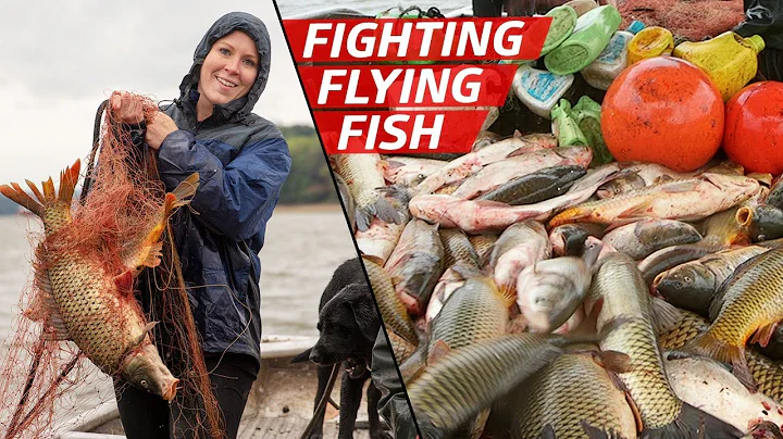 How Fishermen Are Fighting to Control the Asian Carp Population — How to Make It - DayDayNews