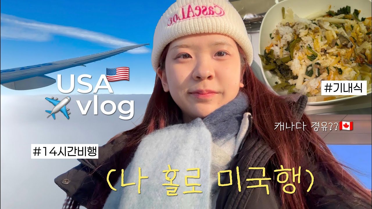 🇺🇸ep1. 나홀로 25시간 동안 미국행 / 비행기 브이로그, 미국 vlog ✈️