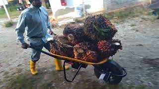 kereta sorong bermotor