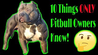 10 things only Pitbull & American Bully owners know
