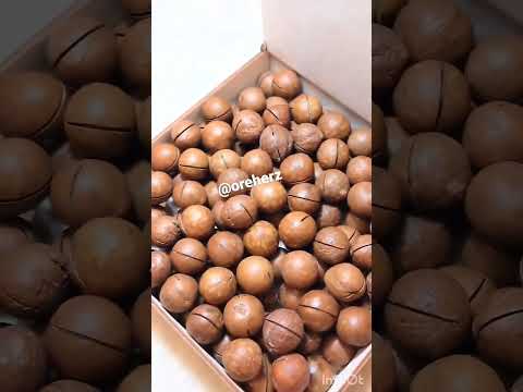 🐿️ Ну что, готовы?...))услышать секрет макадамии?😉