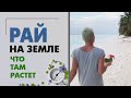 Место силы или рай на земле | Какие растения растут в раю и как они там выглядят