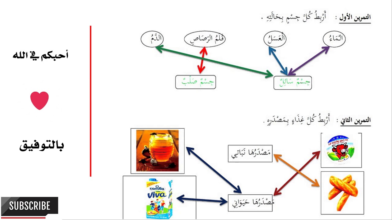 حل امتحان في مادة التربية العلمية - الفصل الثالث - لتلاميذ السنة الأولى ابتدائي 2018