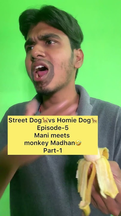 street-dog-vs-homie-dog-episode-5-yukesh-yukeshgroups