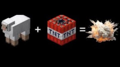 I played SHEEP WARS for the first time