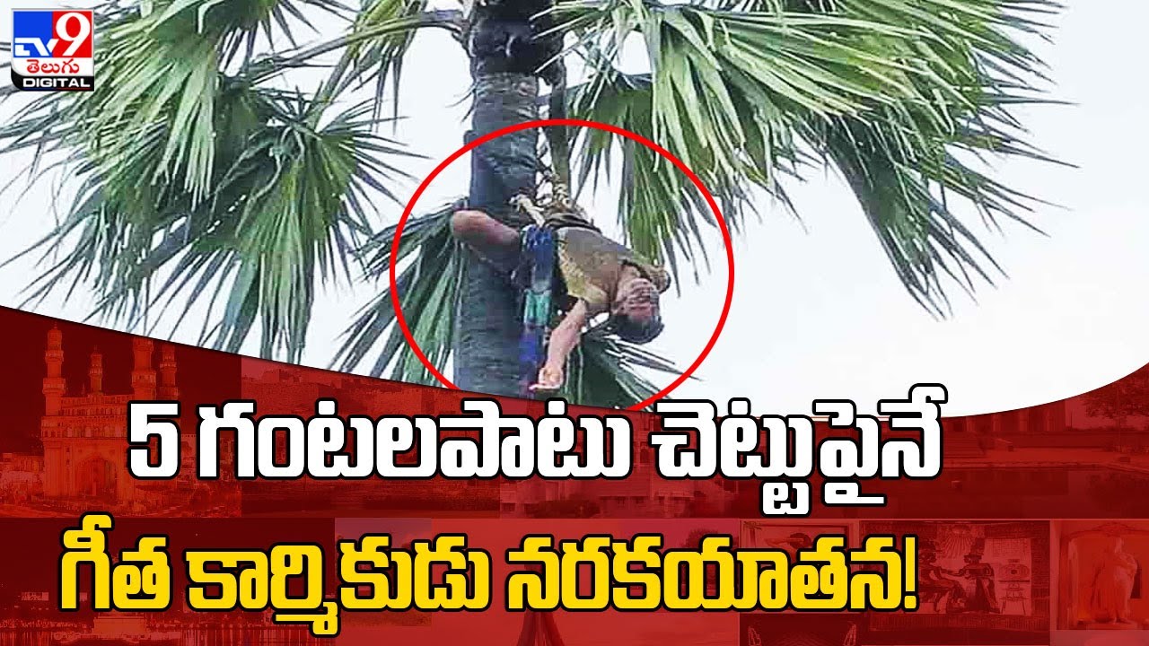 Original Title & Thumbnail