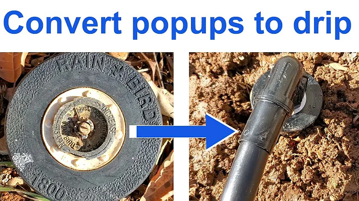 How to change a sprinkler head to a drip system | No digging