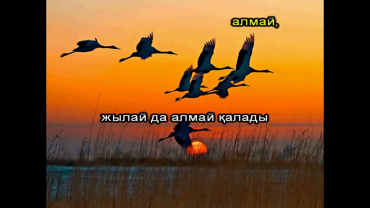 Орыс тілінде студенттік секс