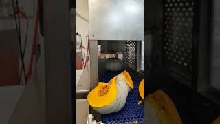 Pumpkin Cutting Machine