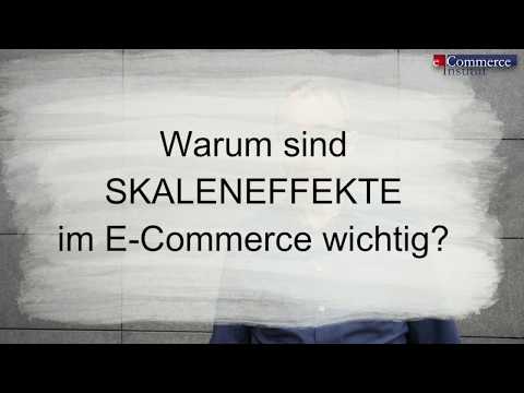 Skalen-  und  Netzwerkeffekte im E-Commerce