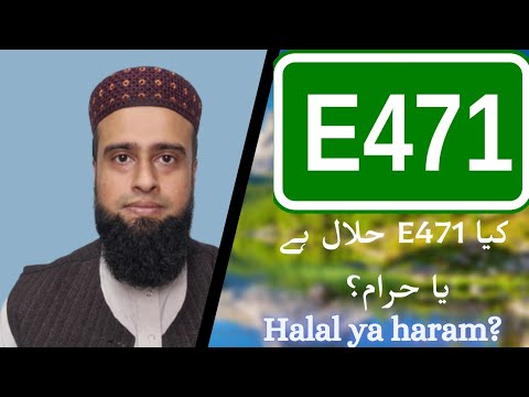E471 halal ya haram Urdu Halal khao E471