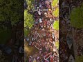 The largest gathering in any country! King’s Day in Amsterdam!