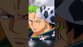 One Piece Law Arguing with Zoro #zoro #law #onepiece #anime #shorts #luffy